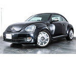 VOLKSWAGEN The BEETLE