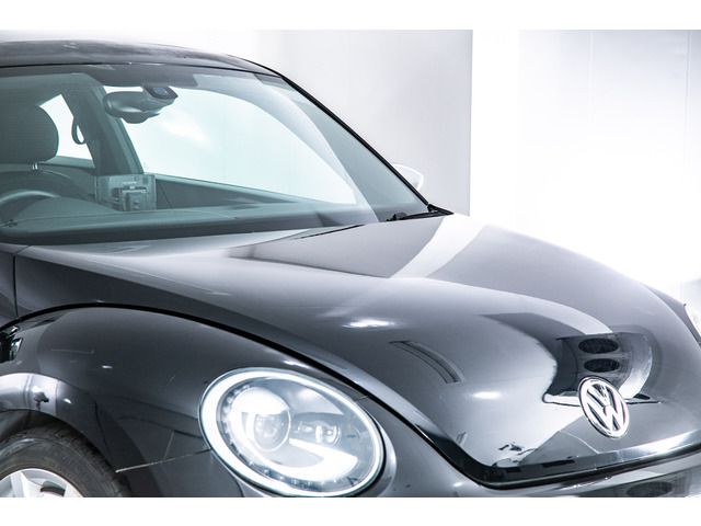 VOLKSWAGEN The BEETLE