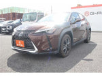LEXUS UX250h