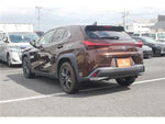 LEXUS UX250h