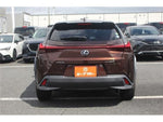 LEXUS UX250h