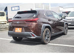 LEXUS UX250h