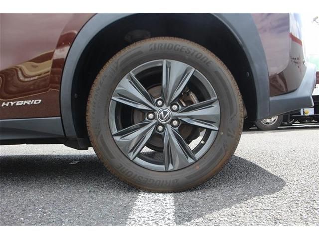 LEXUS UX250h