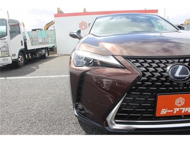 LEXUS UX250h