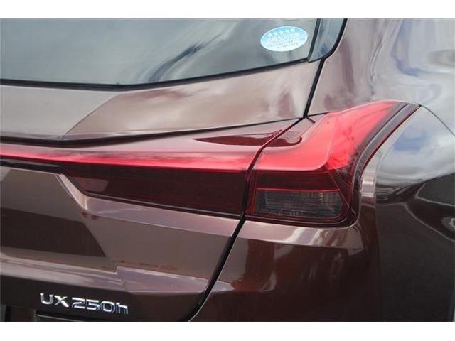 LEXUS UX250h