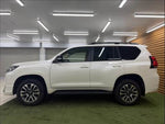 LANDCRUISER PRADO