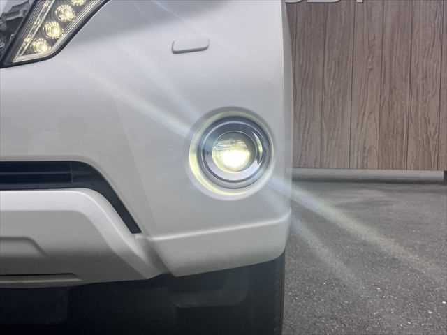LANDCRUISER PRADO