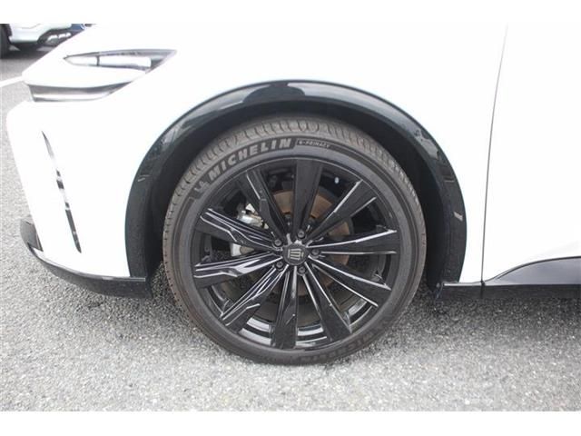 CROWN SPORT