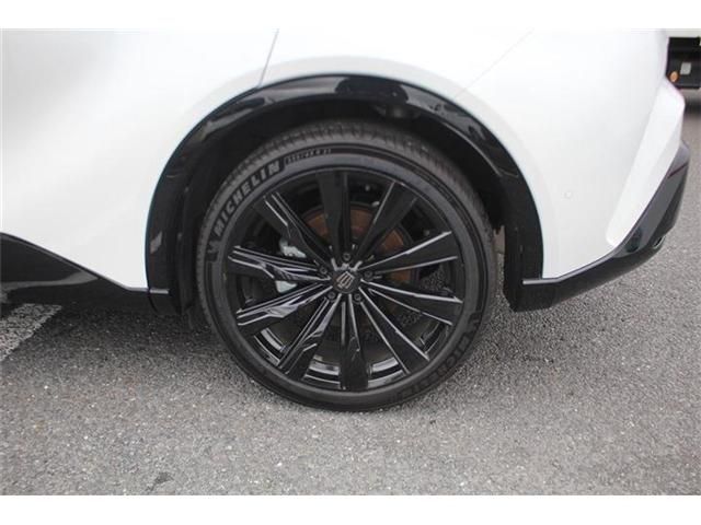 CROWN SPORT