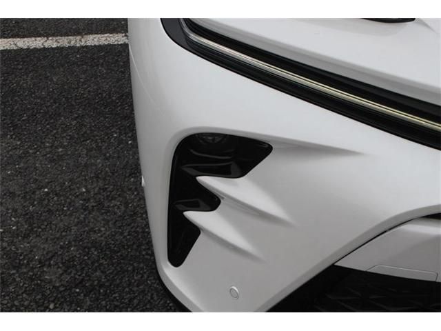 CROWN SPORT