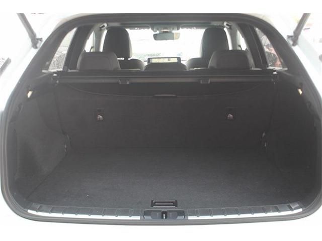 LEXUS RX300