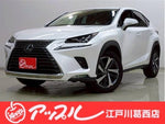 LEXUS NX300