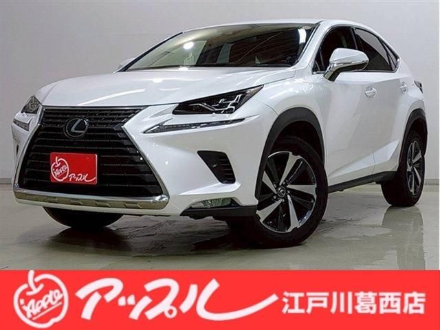 LEXUS NX300