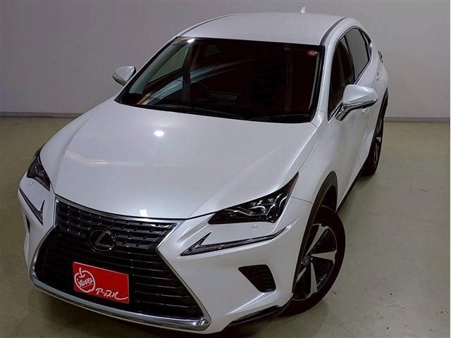 LEXUS NX300