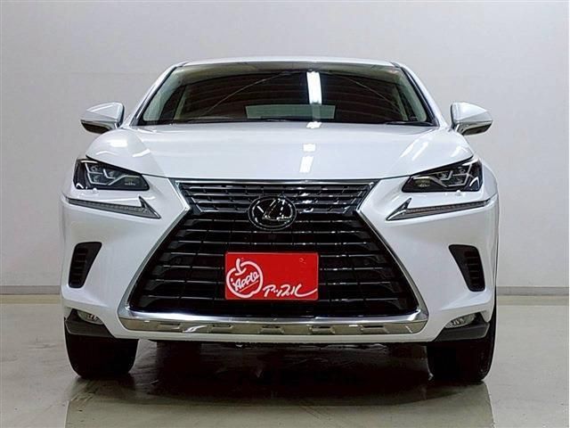 LEXUS NX300