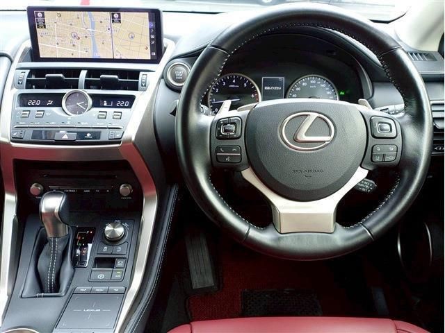 LEXUS NX300