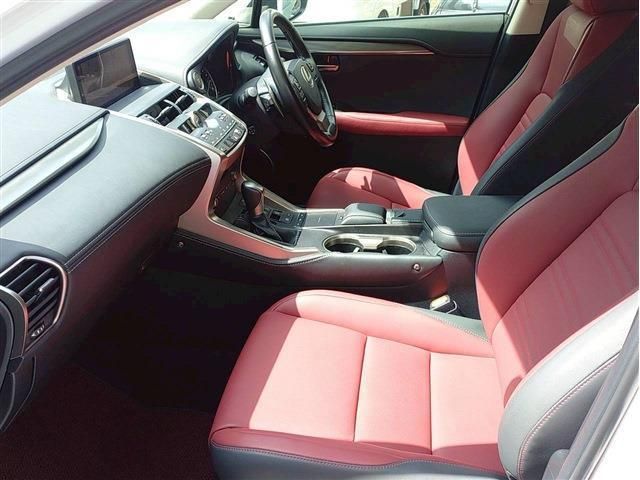 LEXUS NX300