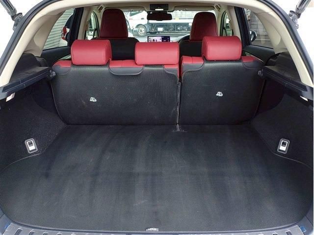 LEXUS NX300