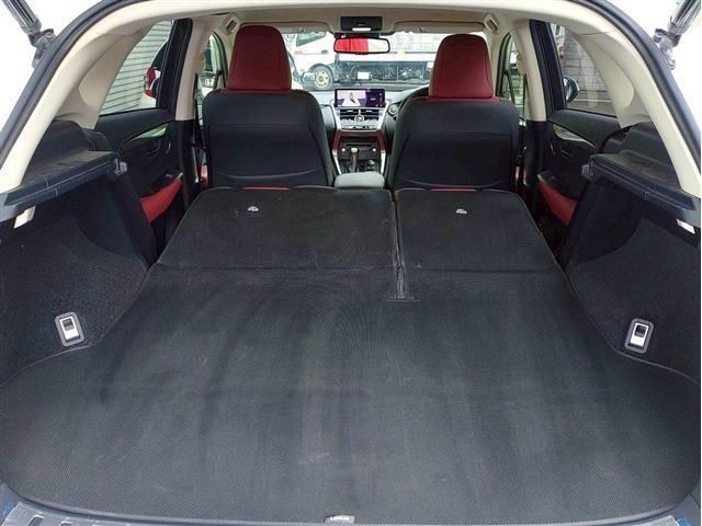 LEXUS NX300