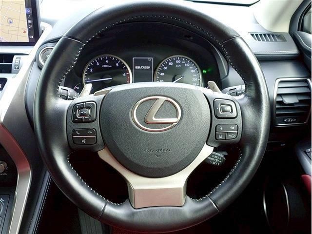 LEXUS NX300