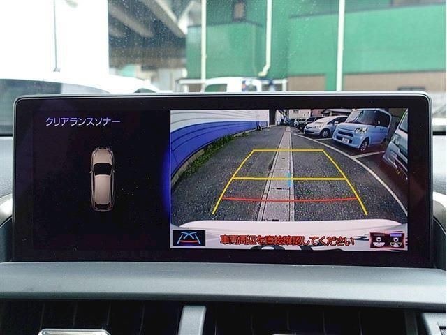 LEXUS NX300