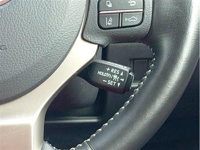 LEXUS NX300