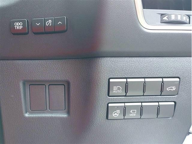 LEXUS NX300