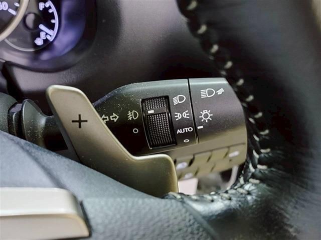 LEXUS NX300