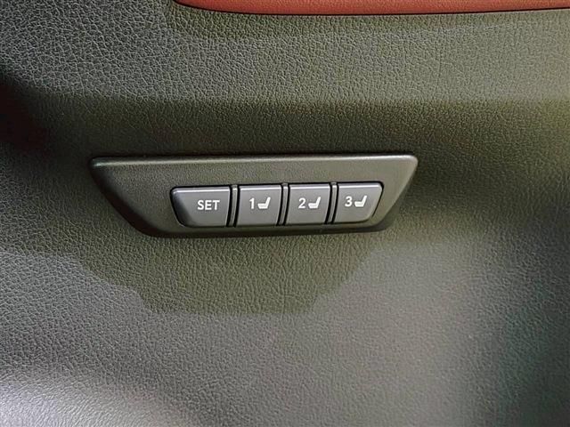 LEXUS NX300