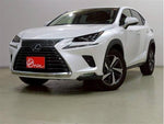LEXUS NX300