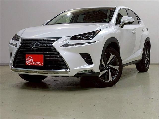 LEXUS NX300