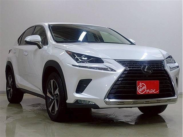 LEXUS NX300