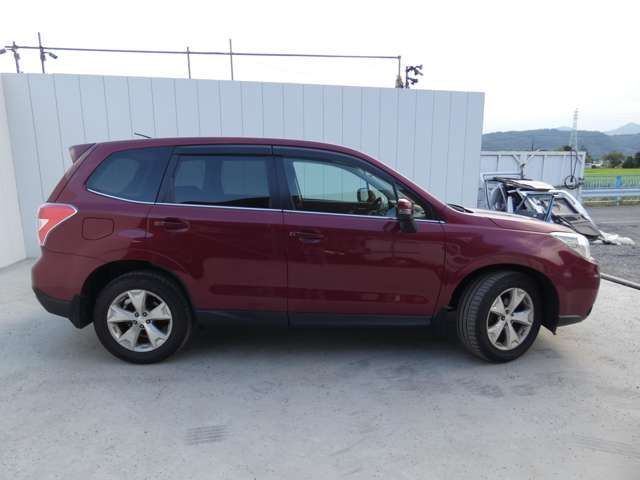 FORESTER