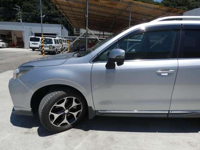 FORESTER