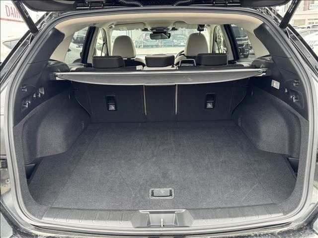 LEVORG LAYBACK