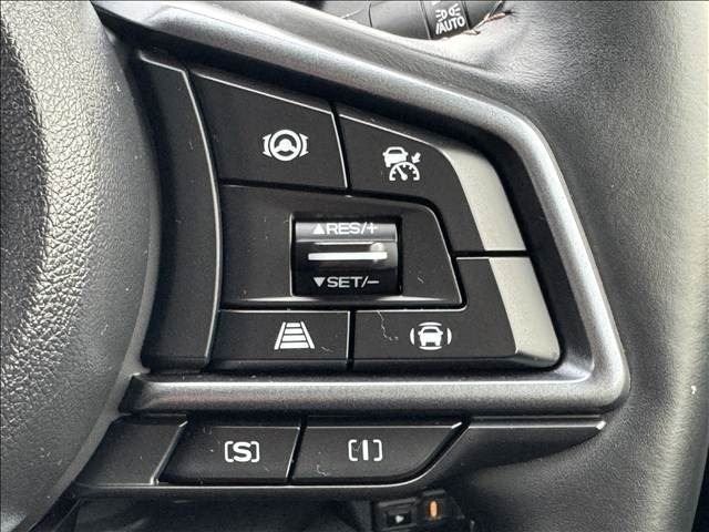 LEVORG LAYBACK
