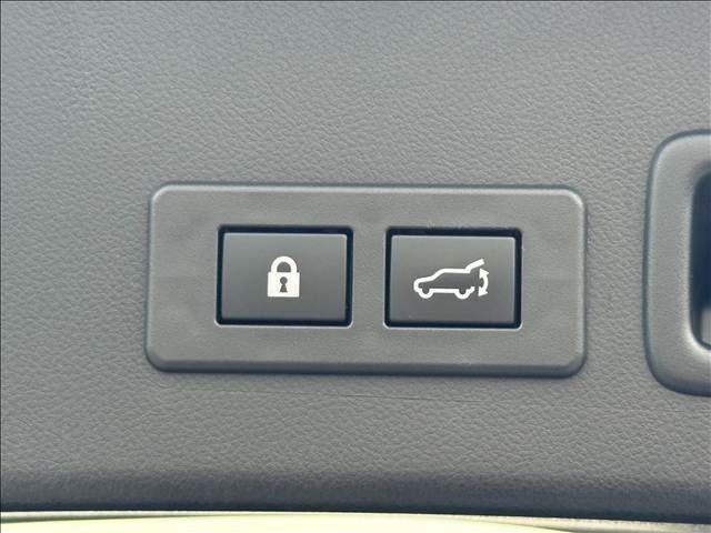 LEVORG LAYBACK