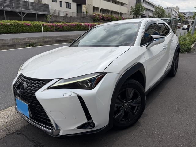 LEXUS UX250h