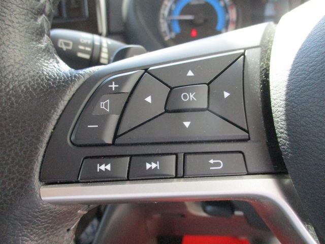 DELICA MINI