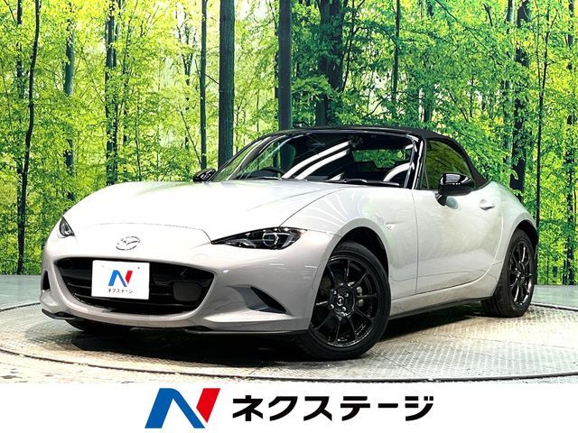 ROADSTER
