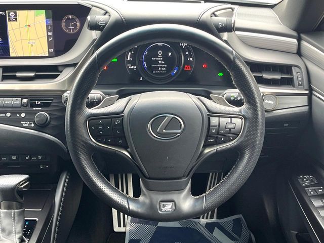 LEXUS ES300h