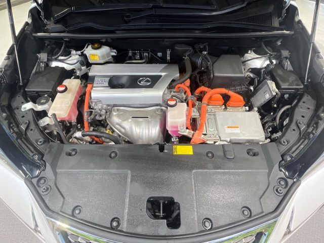 LEXUS NX300h