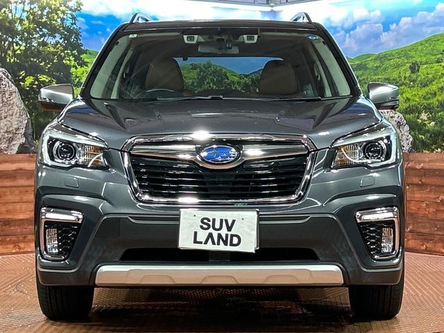 FORESTER