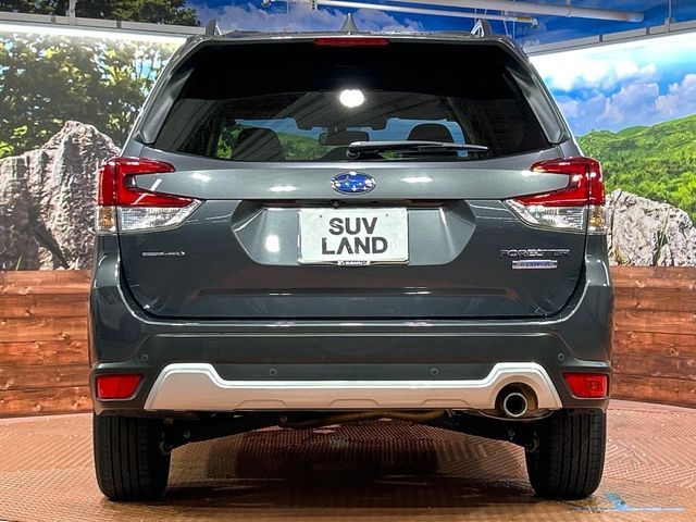 FORESTER