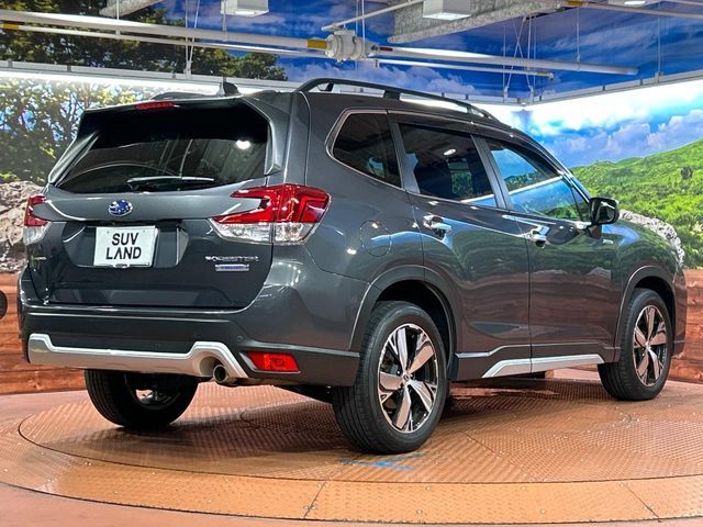FORESTER