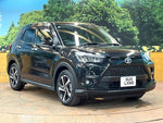 RAIZE HYBRID