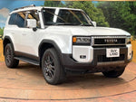 LANDCRUISER 250