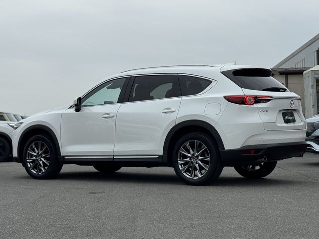 CX-8