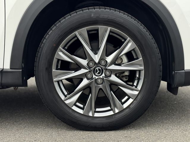 CX-8