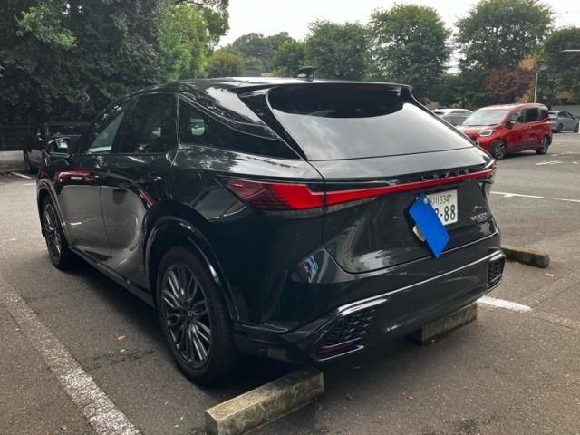 LEXUS RX500h